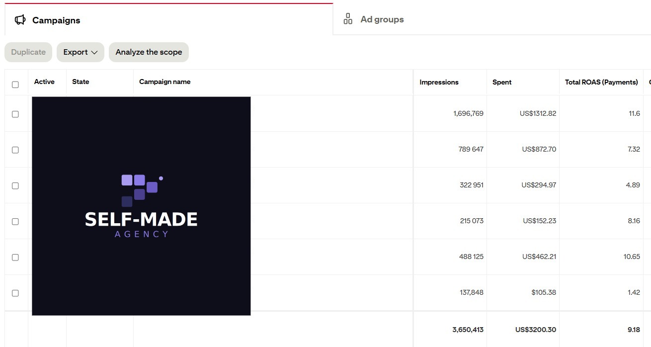 Pinterest Ads client results screenshot