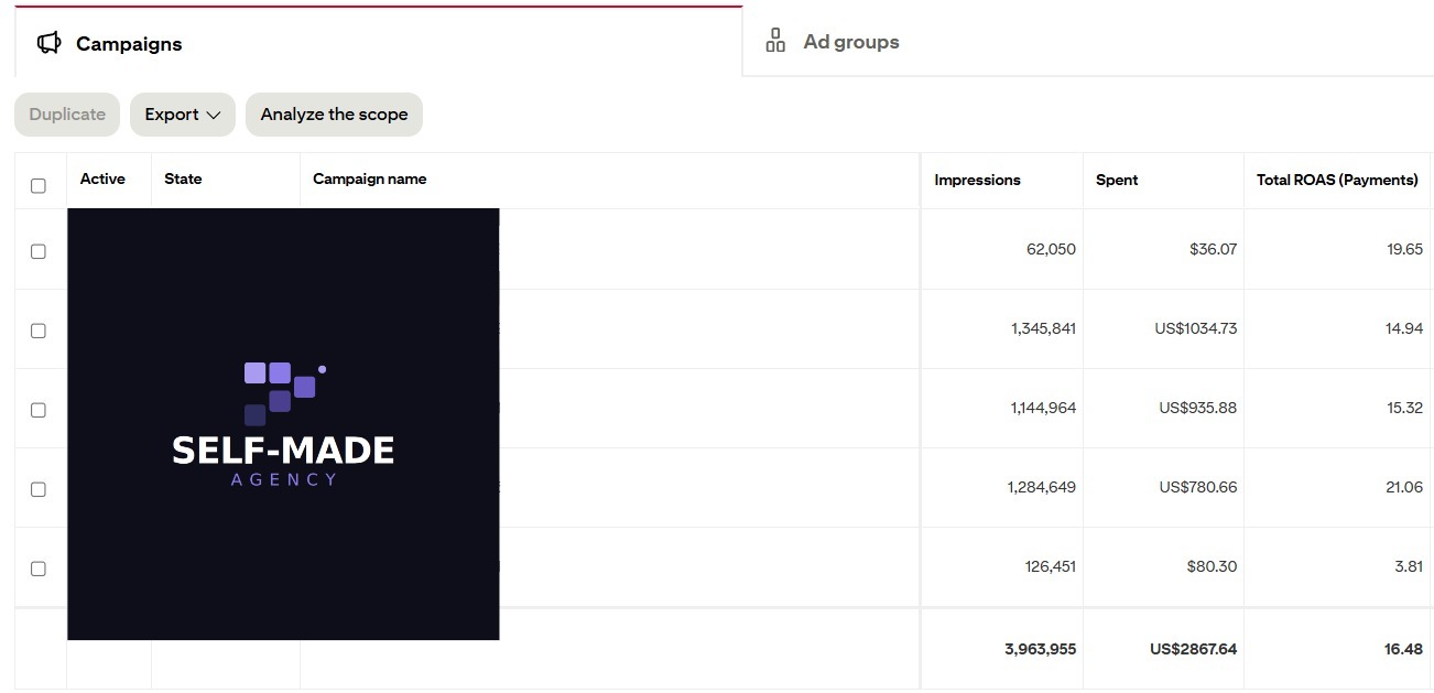 Pinterest Ads client results screenshot