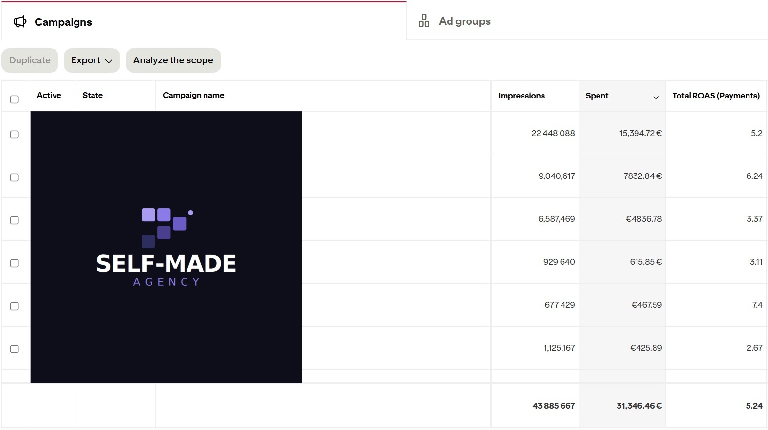 Pinterest Ads client results screenshot